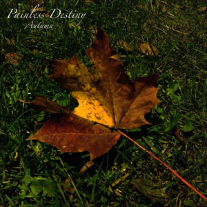 中文字幕一区二区三区5566
